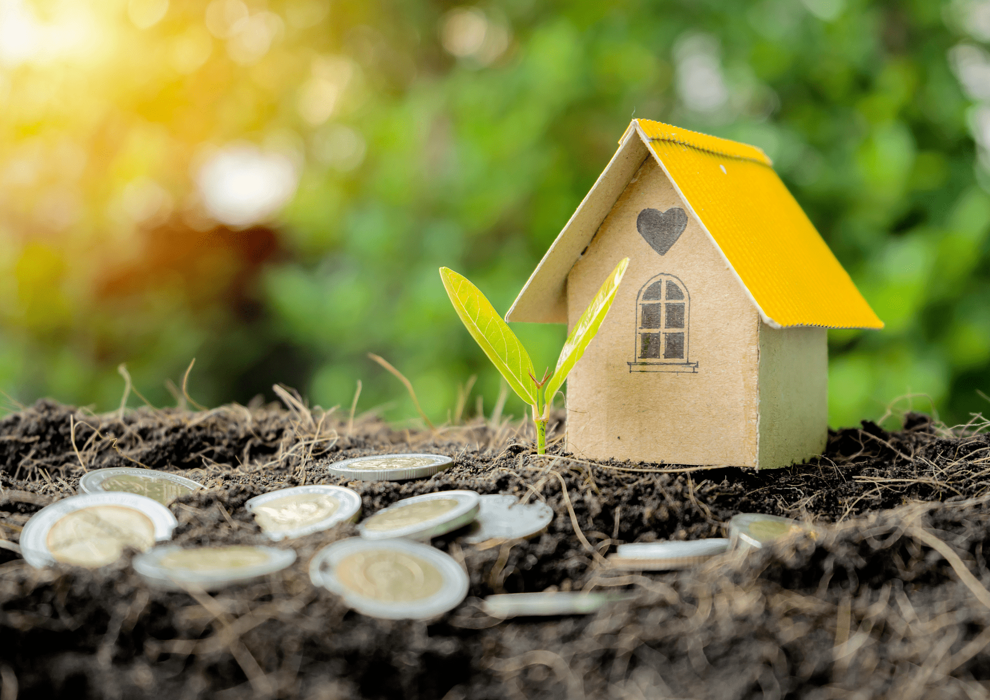 Inversión de hogar el cual termina dando sus frutos 